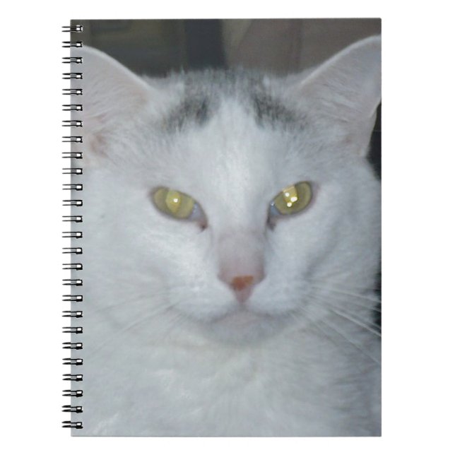 Cat Thoughts White Cat Notebook (Front)