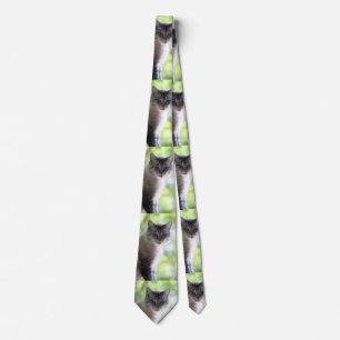 Cat Tie