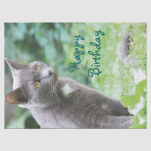 Cat Tissue Paper