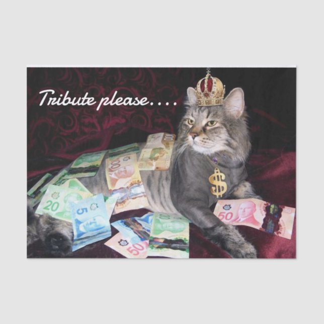 Cat Tissue Paper (Front)