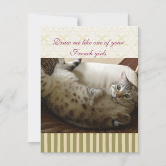 Cat Titanic Quote Brocade Stripe Notecard