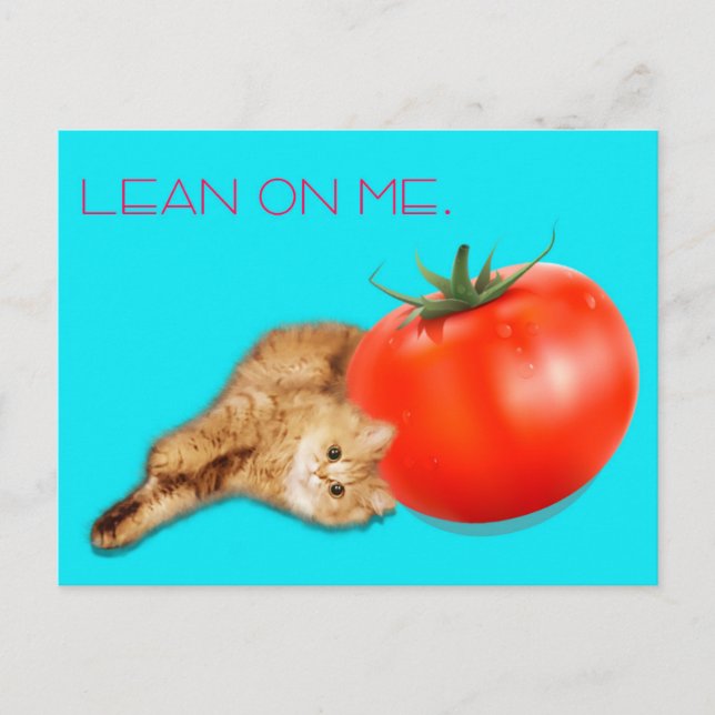 Cat & Tomato Postcard /　猫＆トマト　ポストカード (Front)