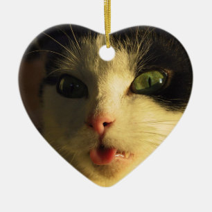 Cat Tongue Ceramic Tree Decoration