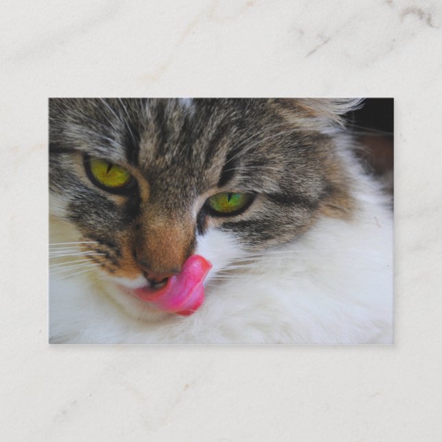 Cat Tongue Photograph Business Cards (Front)