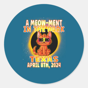 Cat Total Solar Eclipse Pun Classic Round Sticker