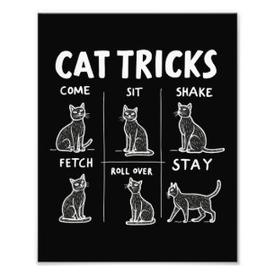 Cat Tricks Purr-Fectly Hilarious Feline Fun Photo Print