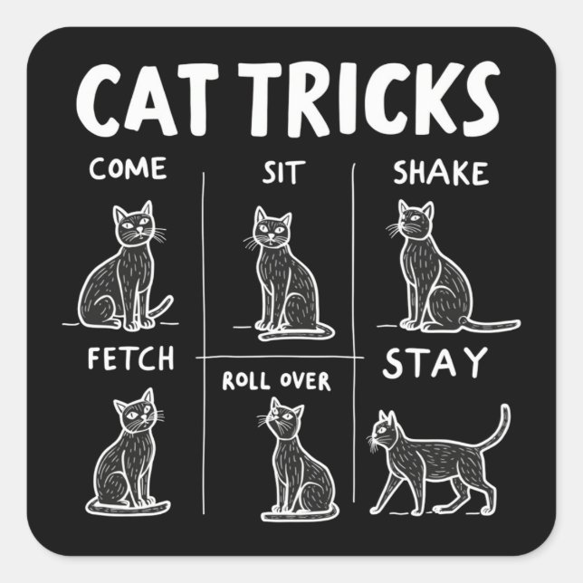 Cat Tricks Purr-Fectly Hilarious Feline Fun Square Sticker (Front)