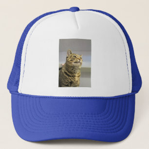 Cat  trucker hat