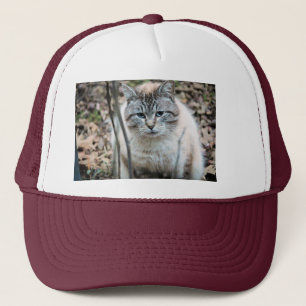 Cat Trucker Hat