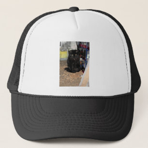Cat   trucker hat