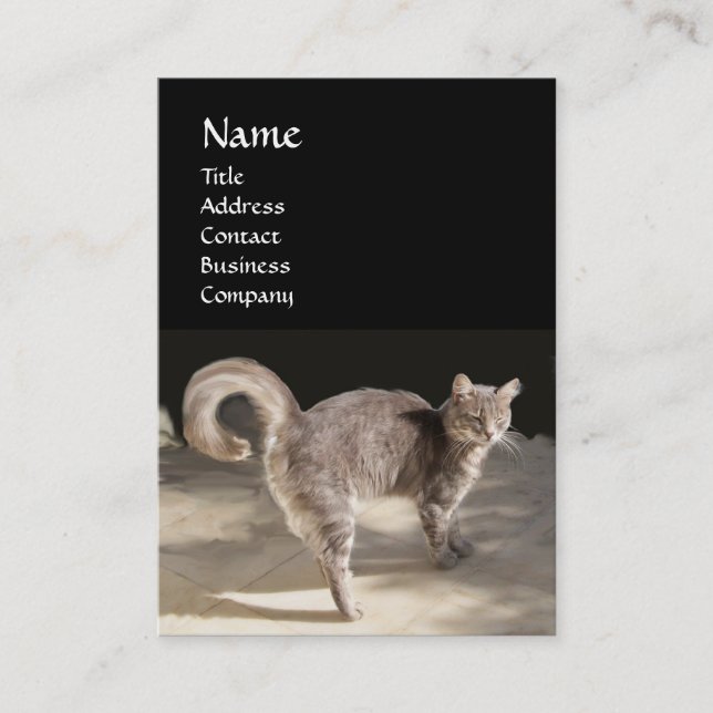 CAT ,TURTLE  AND BASKETBALL BUSINESS CARD (Front)