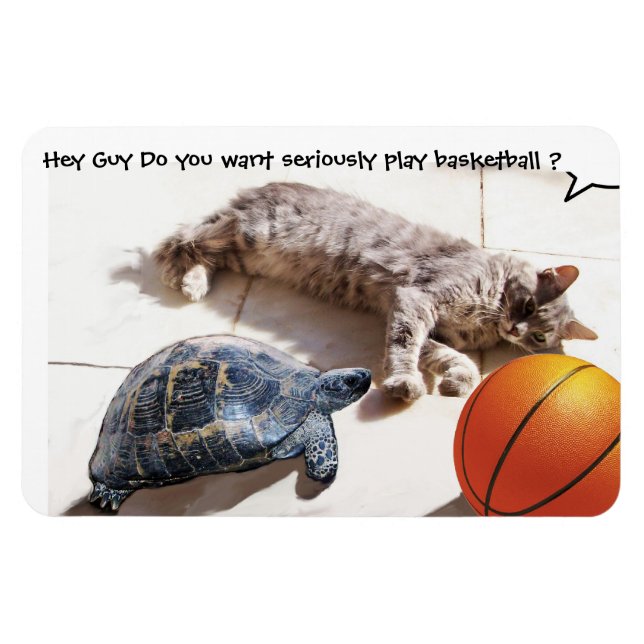 CAT ,TURTLE  AND BASKETBALL MAGNET (Horizontal)