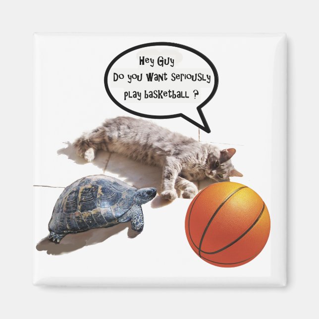 CAT ,TURTLE AND BASKETBALL MAGNET (Front)