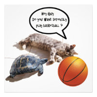 CAT ,TURTLE  AND BASKETBALL