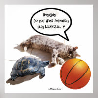 CAT ,TURTLE AND BASKETBALL