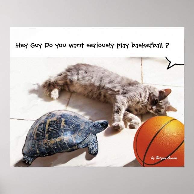 CAT ,TURTLE  AND BASKETBALL POSTER (Front)