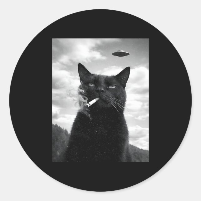 Cat Ufo Meme Selfie Alien Classic Round Sticker (Front)