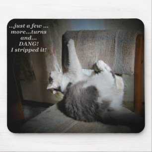 Cat upholstery repair meme mouse pad