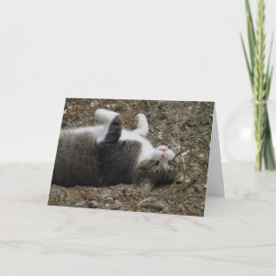 Cat Upside Down Easter Card