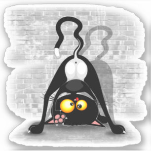 Cat Upside Down Funny Cartoon Character