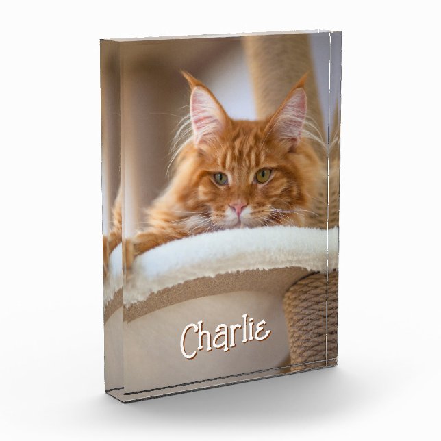 Cat Vertical Portrait Photo Cute Font Name (Left)