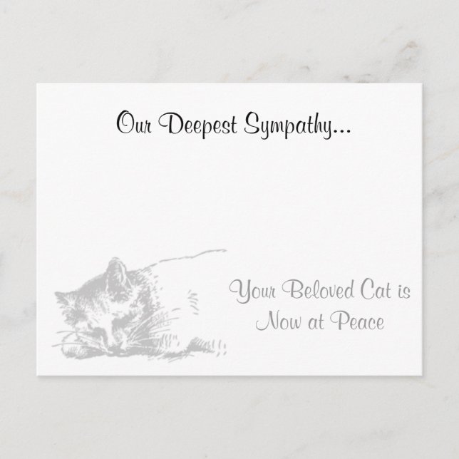 Cat Veterinarian Sympathy Postcard (Front)