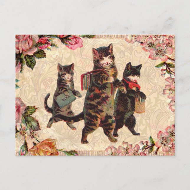 Cat Vintage Pretty Antique Kittens Postcard (Front)