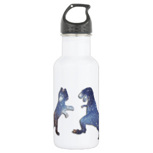 CAT VS T-REX - SPACE TEXTURE 532 ML WATER BOTTLE
