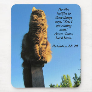 Cat, waiting for Jesus Mouse Pad