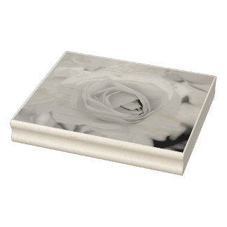 Cat walk rubber stamp