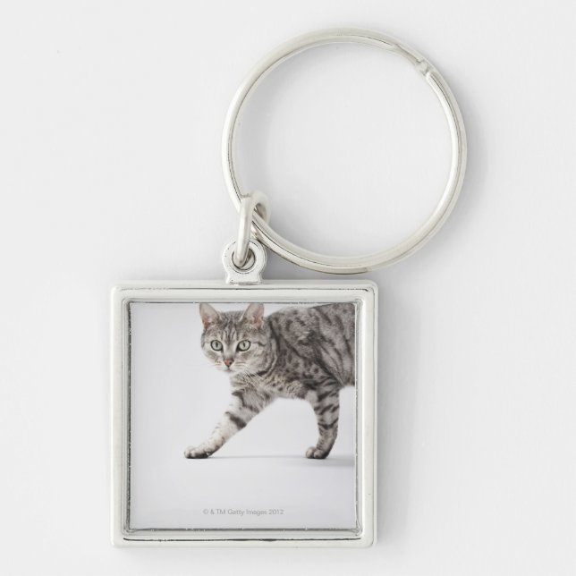 Cat walking key ring (Front)