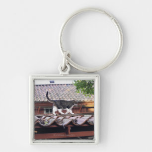 Cat walking on roof of shed key ring