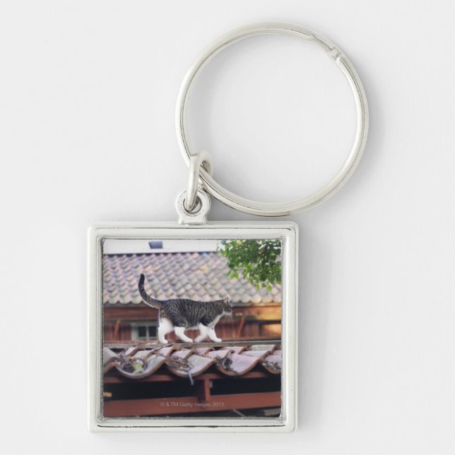 Cat walking on roof of shed key ring (Front)
