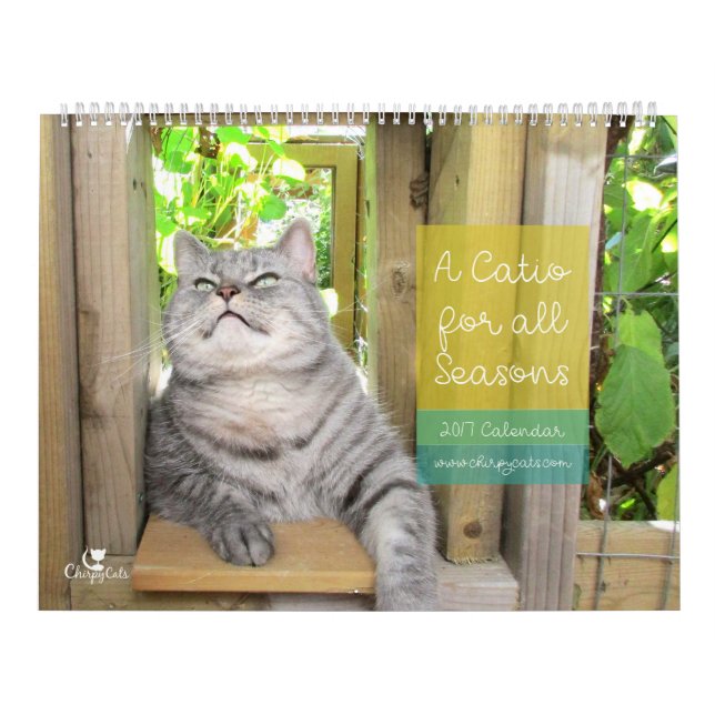 Cat Wall Calendar 2017 (Cover)