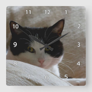 Cat Wall Clock
