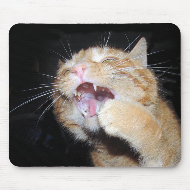 Cat wants the mouse pad (Front)