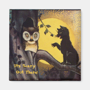 Cat Warning Owl Halloween Magnet