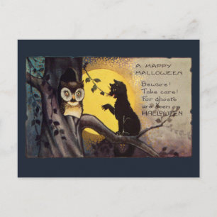 Cat Warning Owl Vintage Halloween Postcard