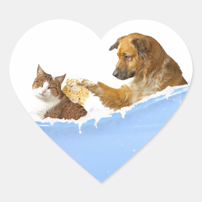 Cat Wash Heart Sticker (Front)