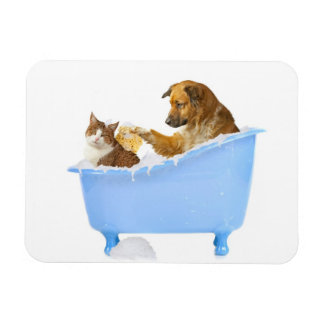 Cat Wash Magnet