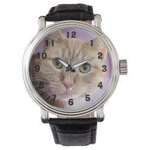 Cat Watch