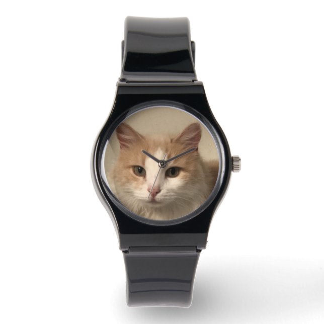 Cat Watch (Front)