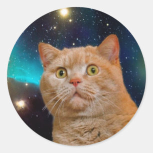 Cat watching the space classic round sticker