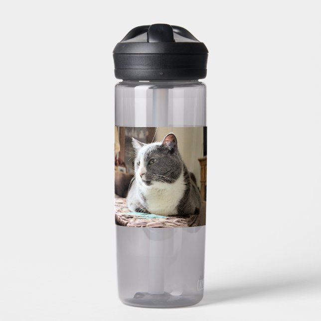 Cat Water Bottle (Front)