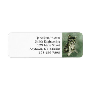 Cat watercolor painting