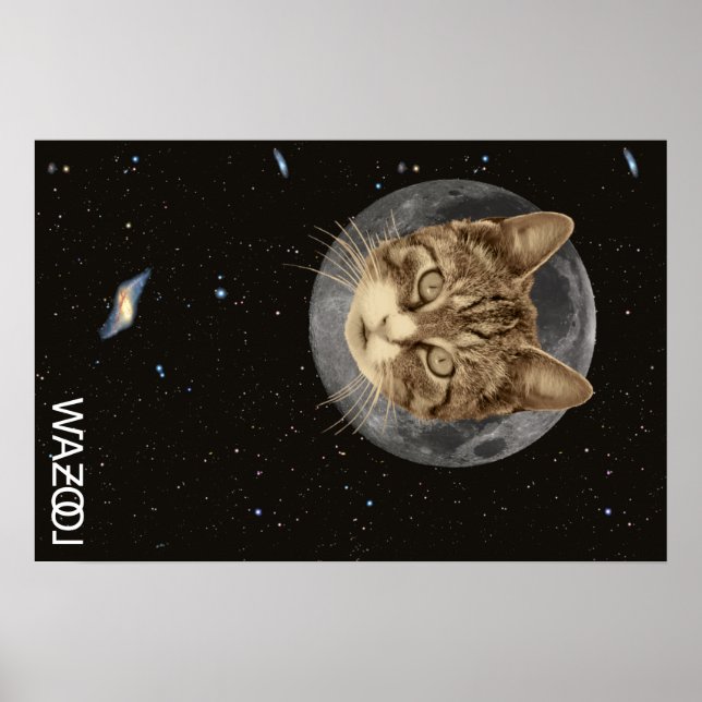 Cat Wazool Poster (Front)
