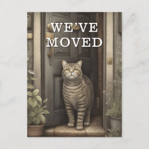 Cat We Have Moved Moving Announcement Postcard