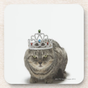 Cat wearing a tiara coaster