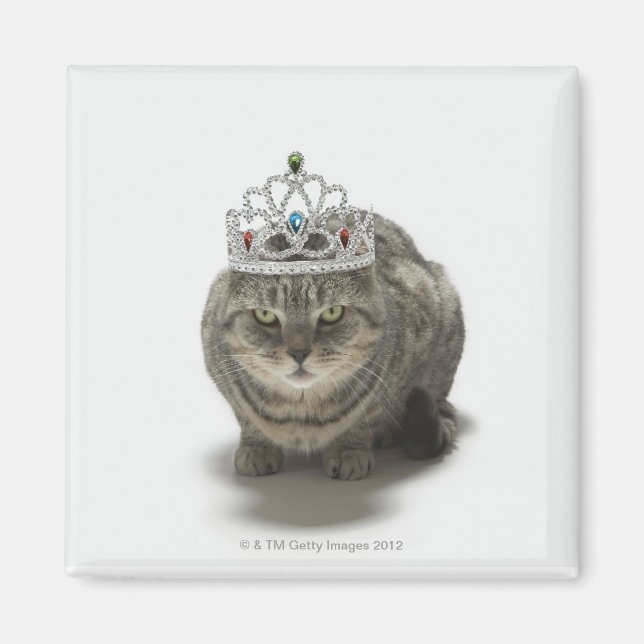 Cat wearing a tiara magnet (Front)