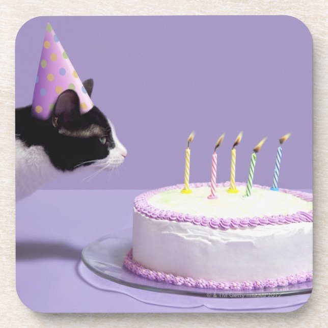 Cat wearing birthday hat blowing out candles on coaster (Front)